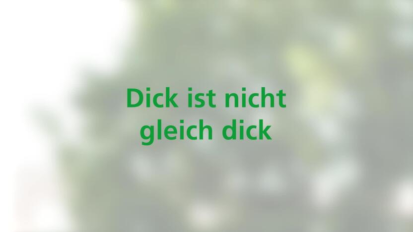 Video-Vorschaubild